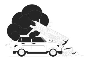 tree falls on car