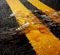 Glass Broken on the road