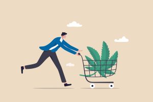 New Cannabis Enforcement Issues on the Horizon 