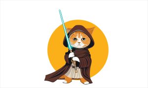 About Star Wars Outburst Awakens the Orland Park Police Force