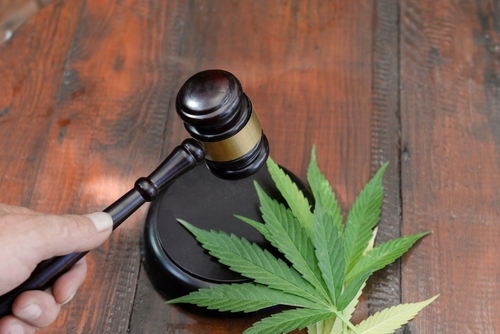 New marijuana laws in Illinois