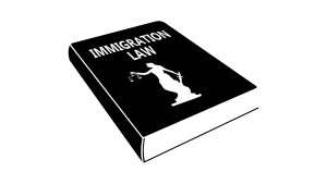 About Which Crimes Could Get Me Deported?