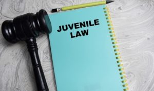 juvenile law document