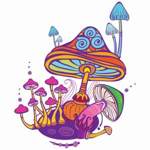 About Naked Brothers in Big Truffle over Magic Mushrooms
