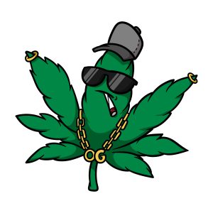 About Illinois Medical Marijuana Pilot Program Dazed & Confused